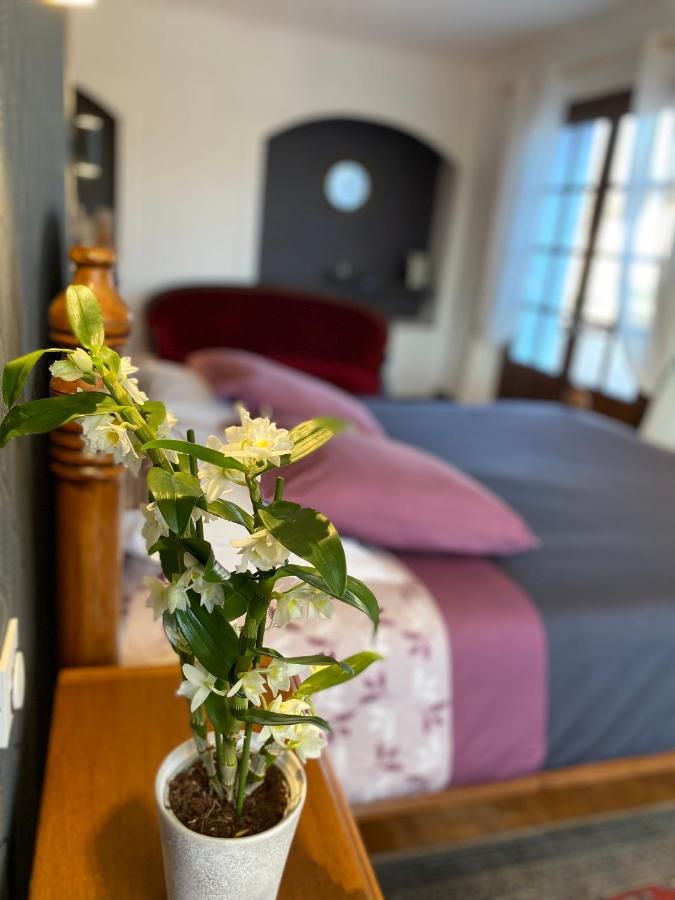 Saint-Didier-de-la-TourDomaine De La Provencale住宿加早餐旅馆 外观 照片